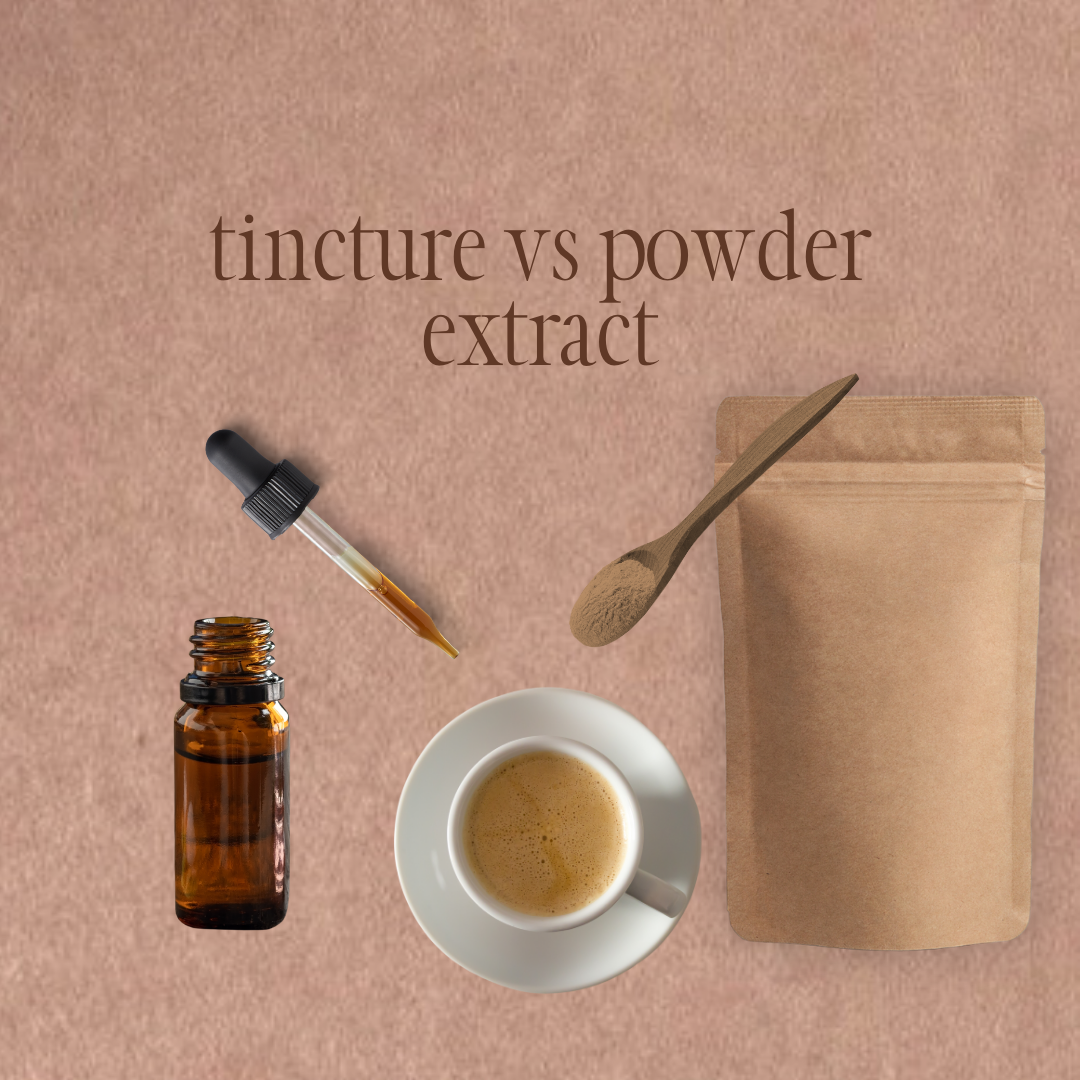 What is best tincture or powder extract when choosing functional mushrooms?