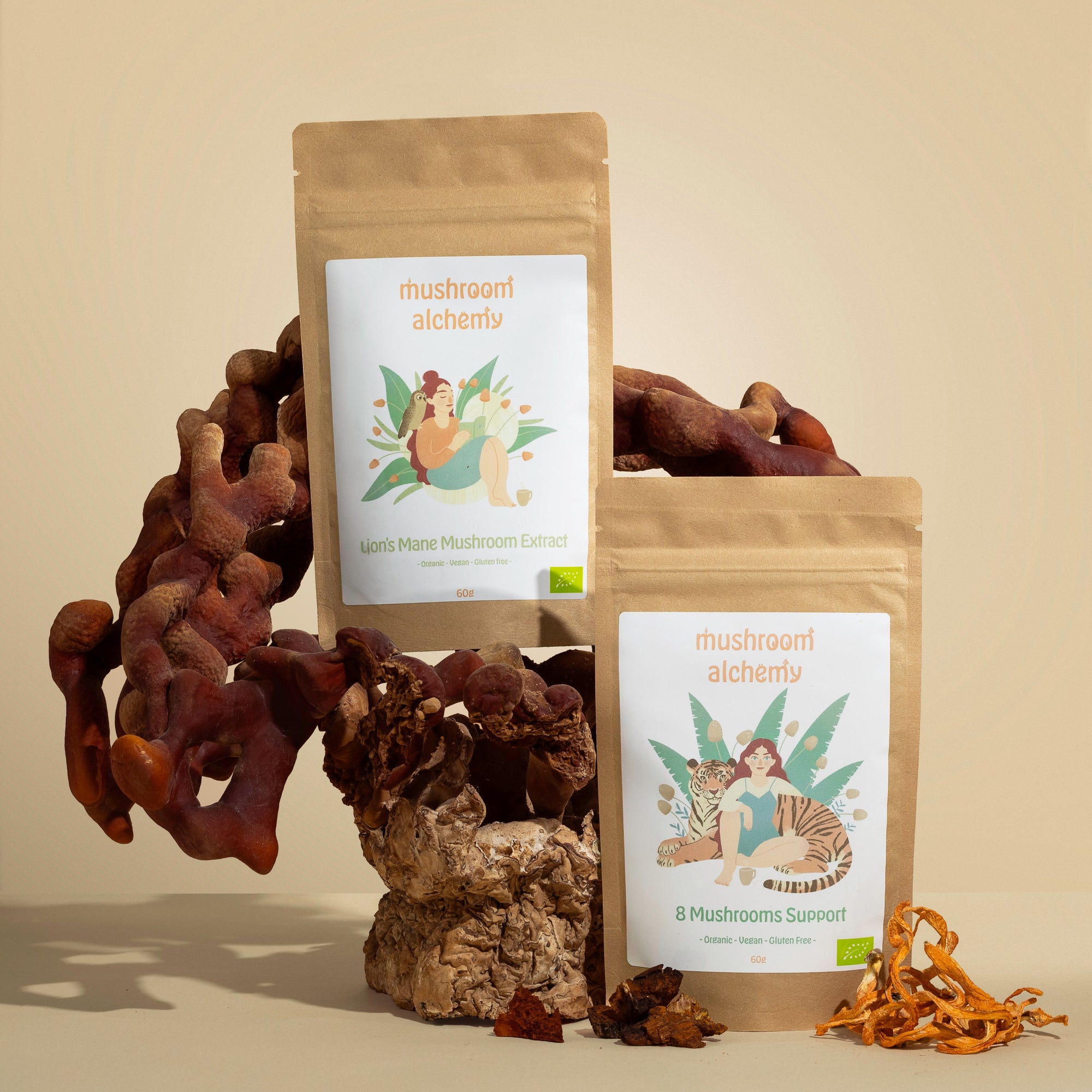 Pakiet grzybów funkcjonalnych